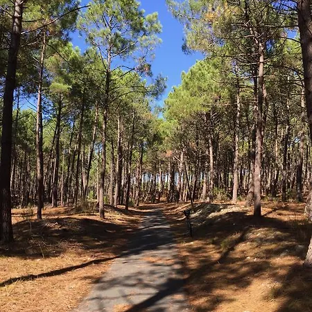 Lachanau Paradis 別荘 *