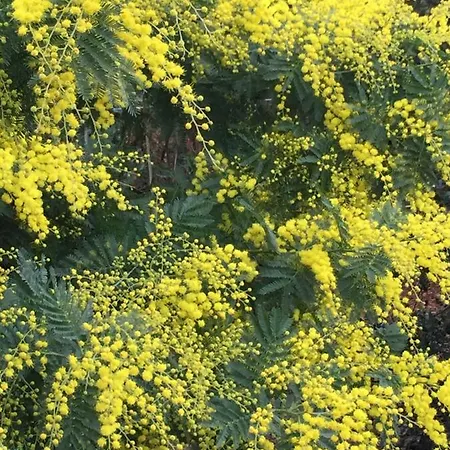 別荘 Lachanau Paradis