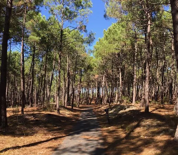 Lachanau Paradis 度假居 *