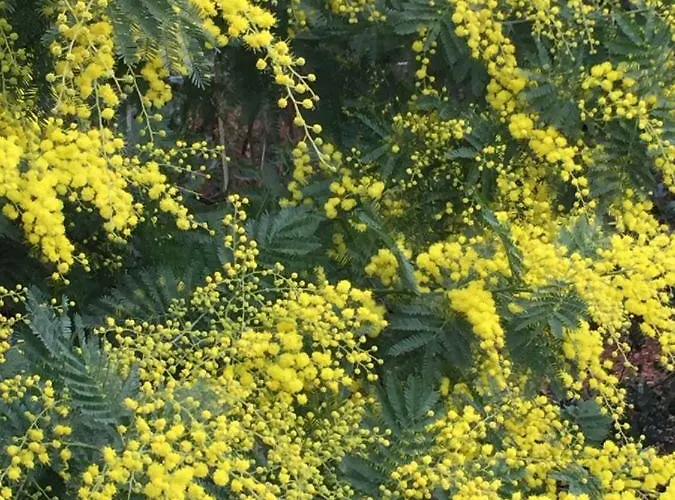 度假居 Lachanau Paradis